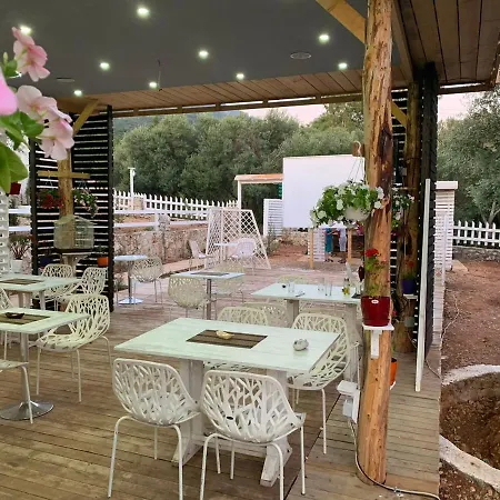 酒店 Albanian Garden 3*
